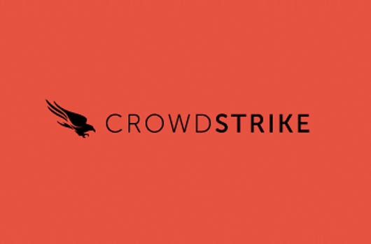 Team Red Crowdstrike