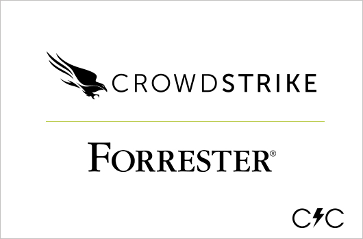 CrowdStrike And Forrester Help Demystify Next-Gen Endpoint Protection