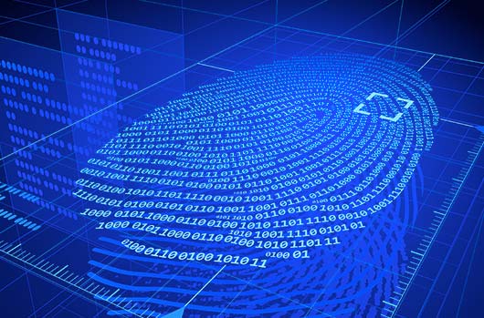 ECrime Ecosystem