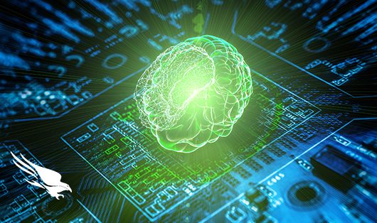 Hardening Neural Networks For Computer Security Against Adversarial Attack