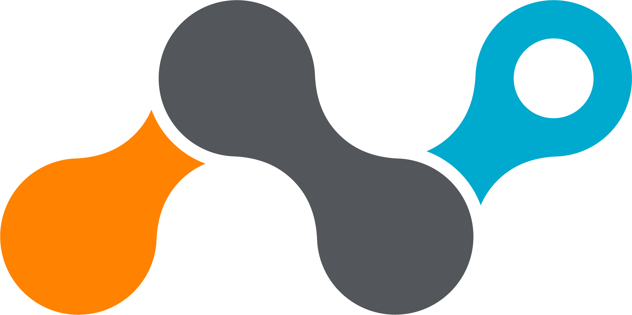 NetSkope logo