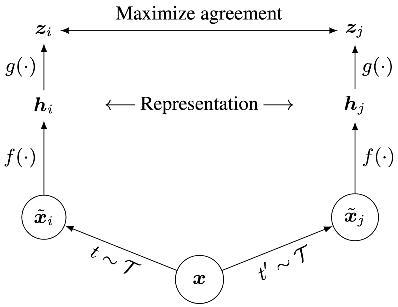 Figure 1. SimCLR representation (from “A Simple Framework for Contrastive Learning of Visual Representations,” Google Research)