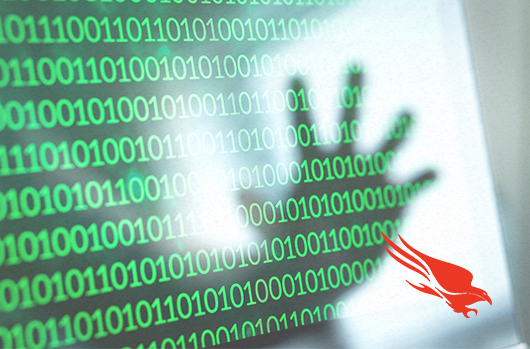 Hacker hand over binary code