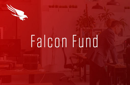 CrowdStrike Faloon Fund Banner
