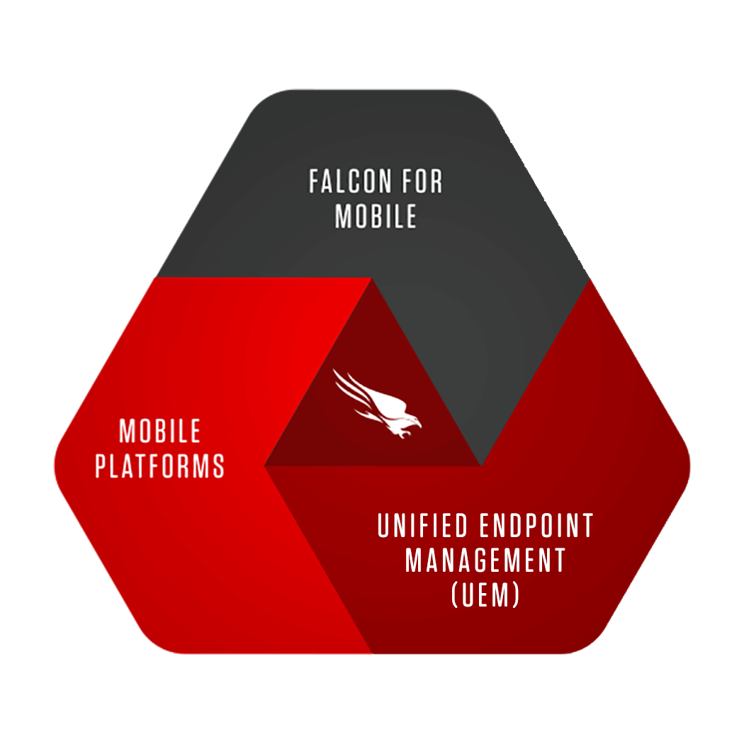 Falcon 2025 Crowdstrike Edr