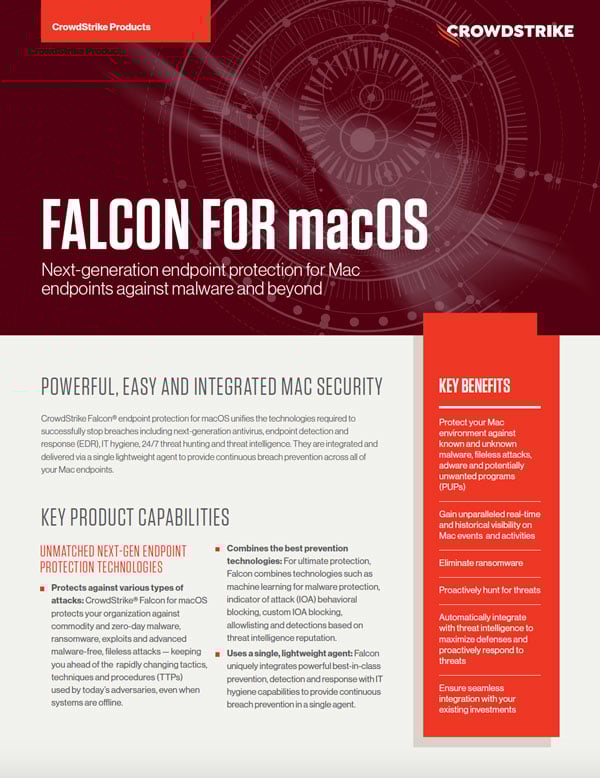 Falcon Falcon
