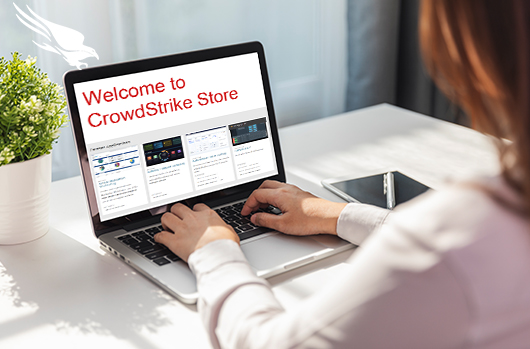 woman looking at crowdstrike store page on laptop