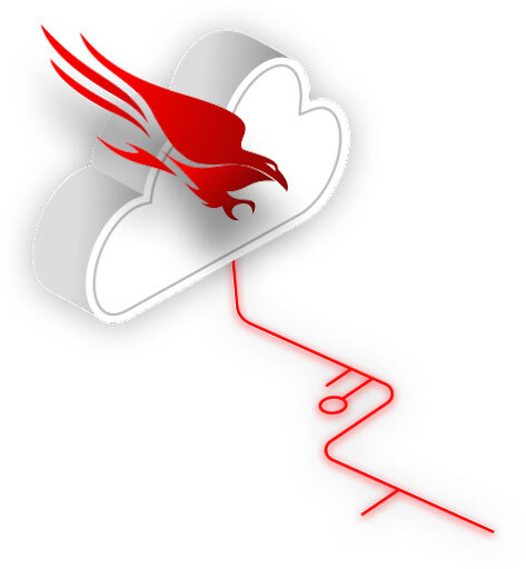 Falcon cloud logo