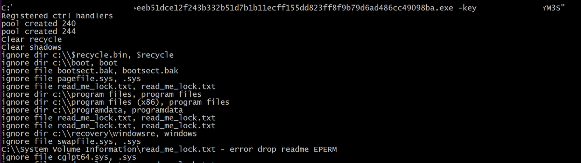 New Ransomware Variant Uses Golang Packer CrowdStrike