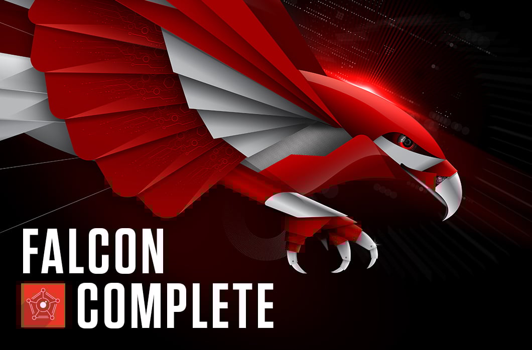 Falcon 2024 Crowdstrike Alix Lucine