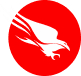 falcon-icon 1 (1)
