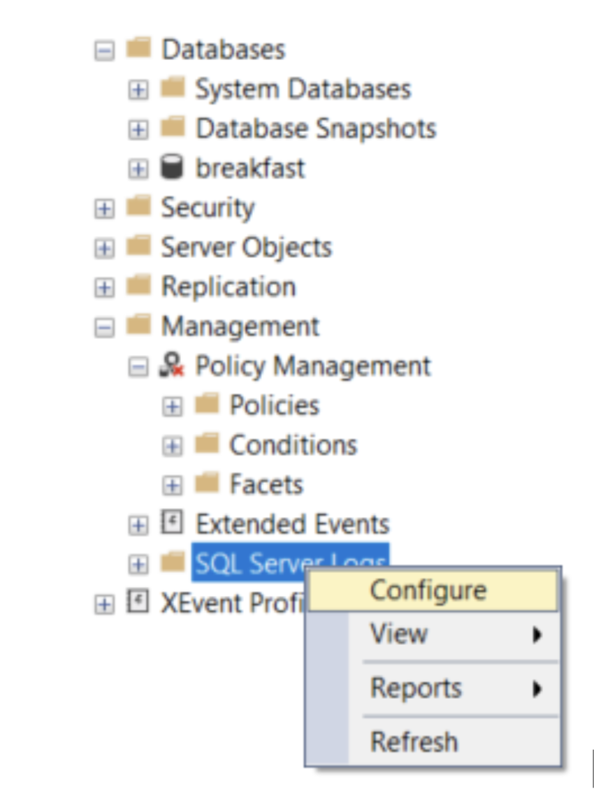 Configure option in SQL Server Logs Folder