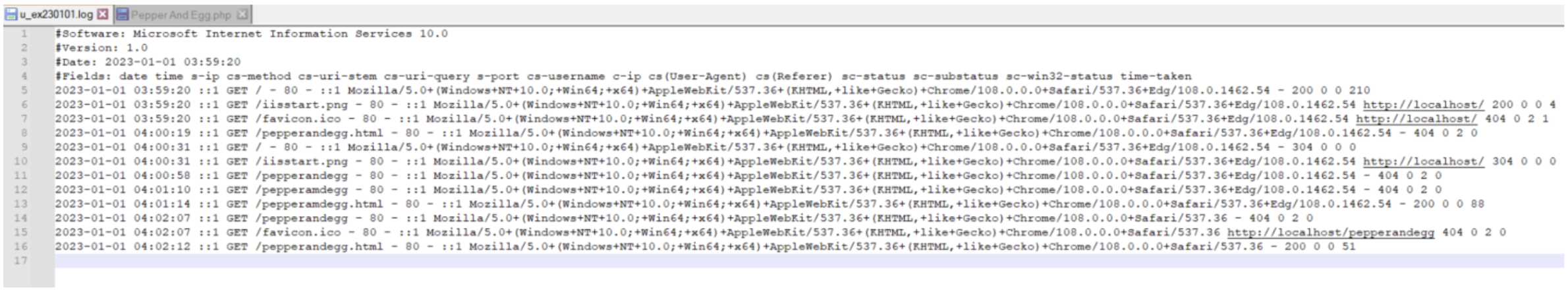 Reading IIS server logs with plain text editors